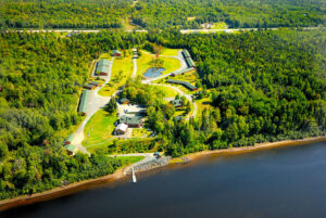 North American Auctioneers